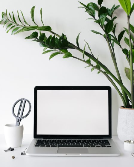 Cómo integrar React con un backend en PHP y Laravel