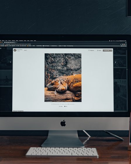 Los principales elementos de un tema de Laravel