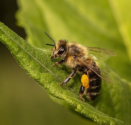 Cómo utilizar el API de Laravel para integrar contenido de terceros