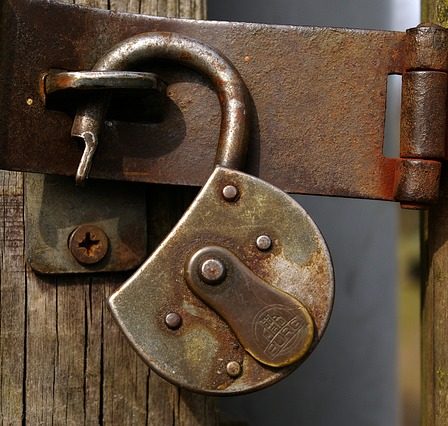 Cómo realizar copias de seguridad y restauraciones en Wordpress