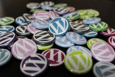Los principales elementos de Wordpress: themes, plugins, widgets, entre otros