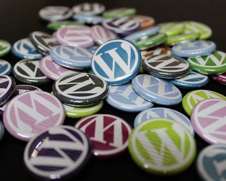 Los principales elementos de Wordpress: themes, plugins, widgets, entre otros