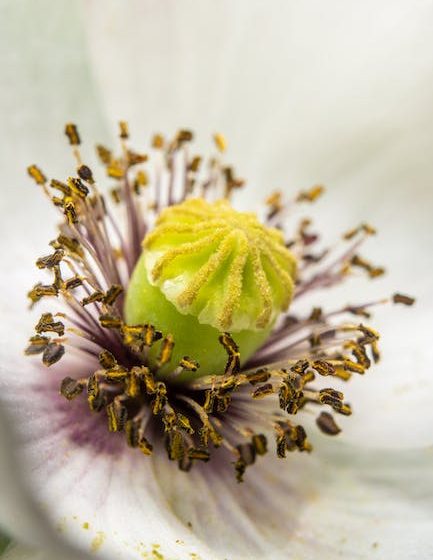 Cómo utilizar plantillas en Express para generar HTML dinámico