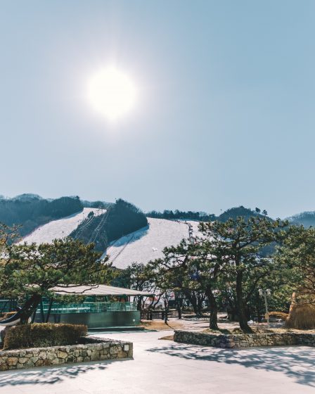 Cómo utilizar el archivo robots.txt para mejorar tu SEO