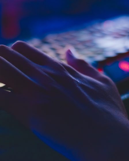 Unity y la animación